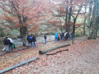 Hayedo de Montejo, excursión,  discapacidad intelectual