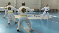 Kárate, terapia, Discapacidad Intelectual, san juan de dios, san cobra kai