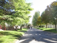 Medio Ambiente, San Juan de Dios, suelo, conservación, día internacional